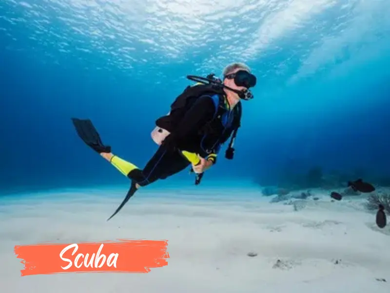 Malvan Tour Packages